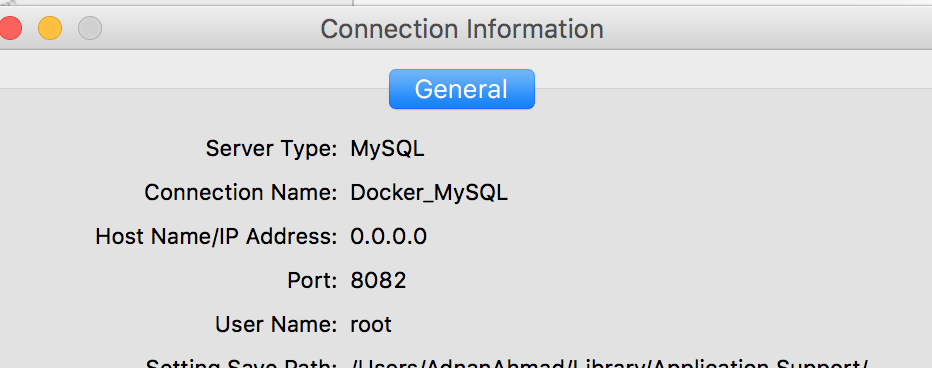 mysql web client docker