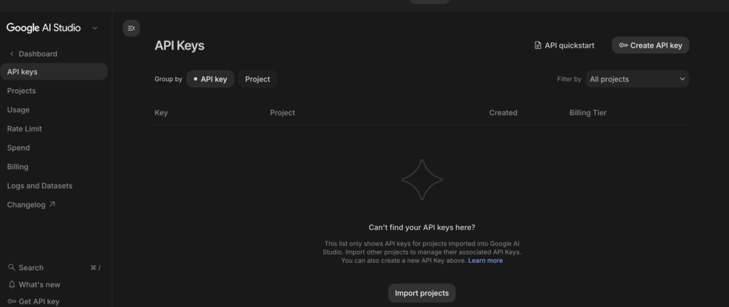 Google Gemini API Key